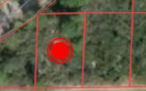 2nd image of 3017 Timberline Ave
