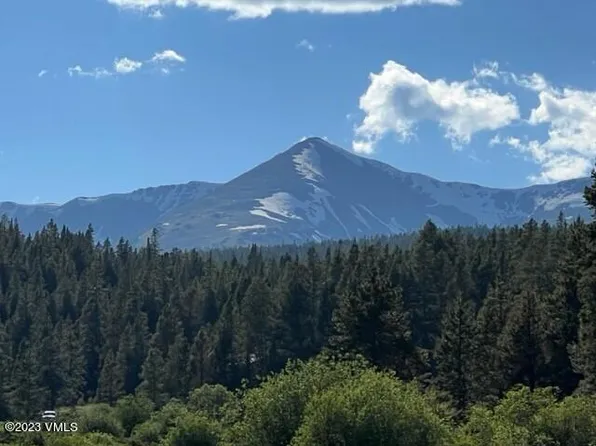 40 County Road 19, Leadville, CO 80461