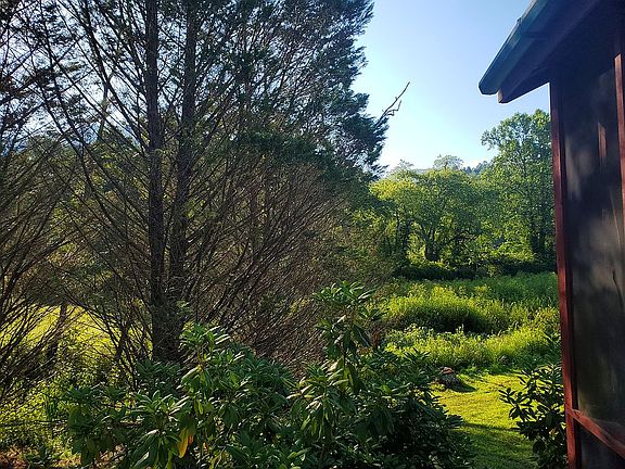 Beautiful meadow view 3