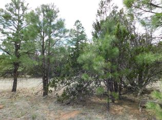 3318 Ox Bow Bend Rd, Overgaard, AZ 85933