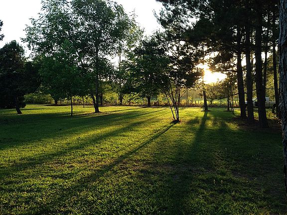 Summer sunset