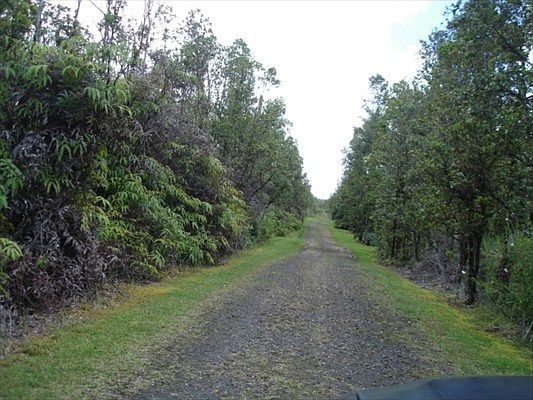 2nd image of Wailele St