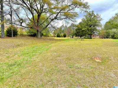 Mitchell Ln #0, Ashland, AL, 36251