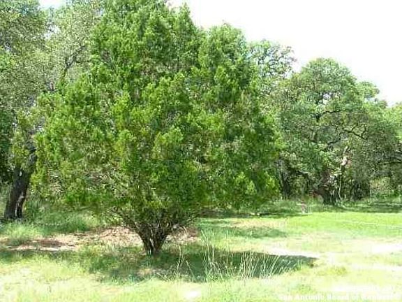 5th image of 4750 Spreading Oak Dr