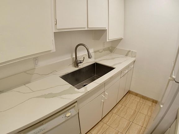 Large stainless steel sink and dishwasher