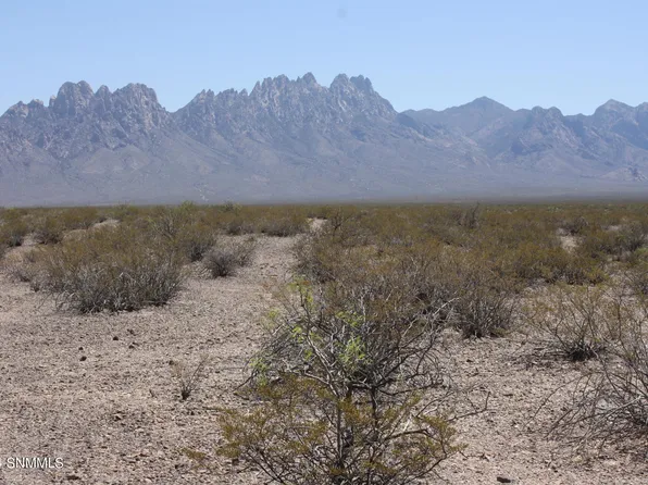 4000 Dunn Dr, Las Cruces, NM 88011