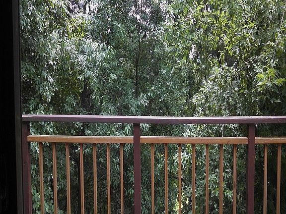 View from living room