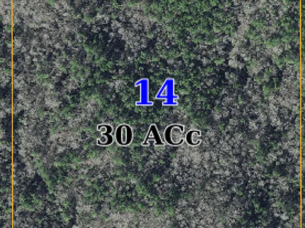 Watkins Rd, De Kalb, MS 39328