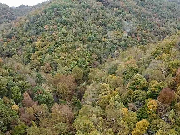 3rd image of 0 Camp Creek Rd