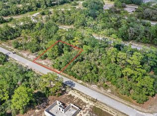1309 Homosassa Ct LOT 10, Kissimmee, FL 34759