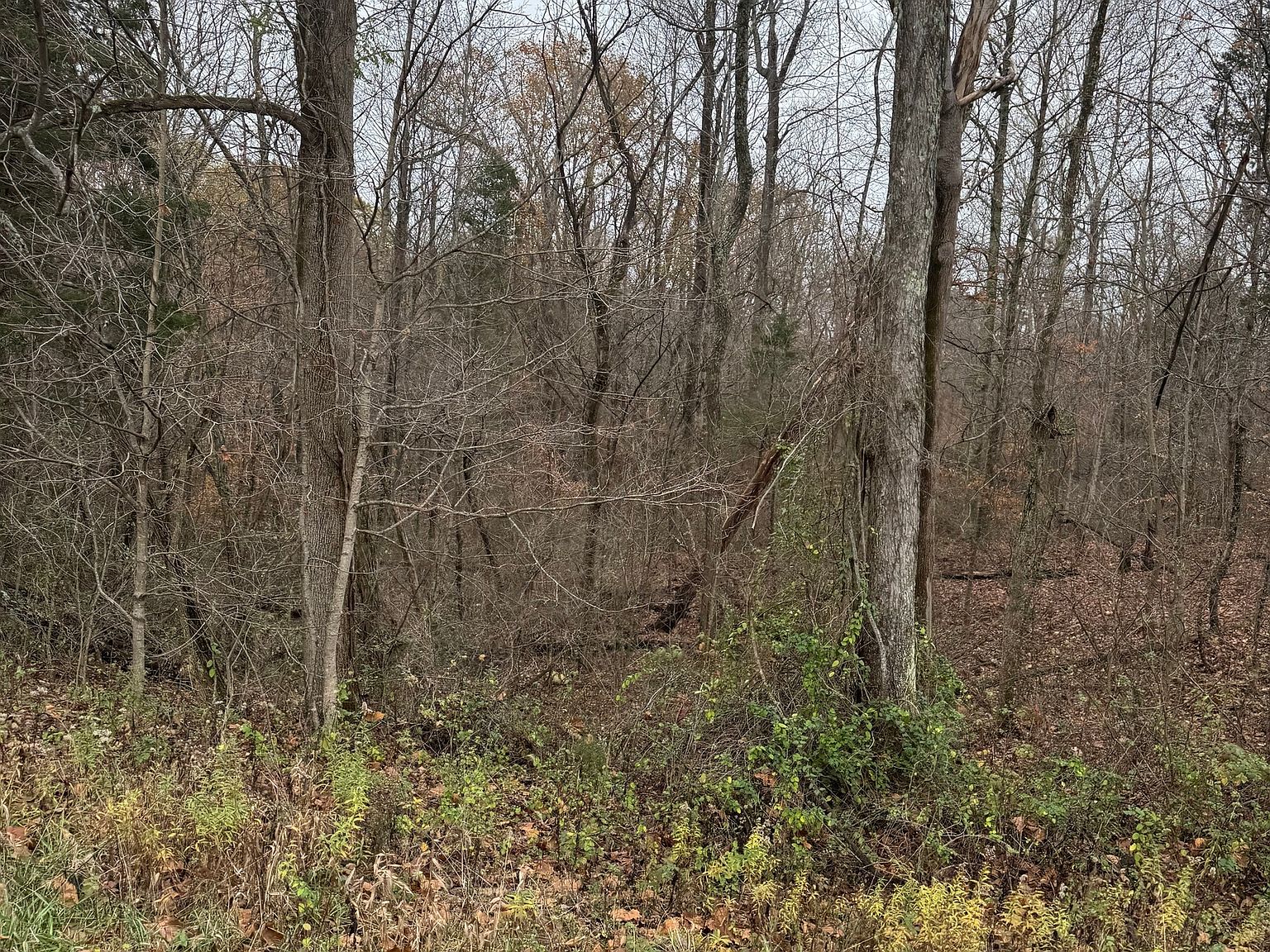 0 S Werner Rd, Cross Plains, IN 47017 | Zillow