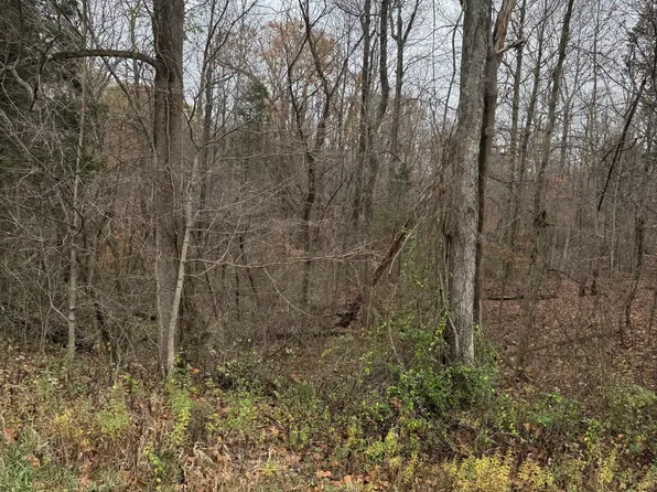 0 S Werner Rd, Cross Plains, IN 47017