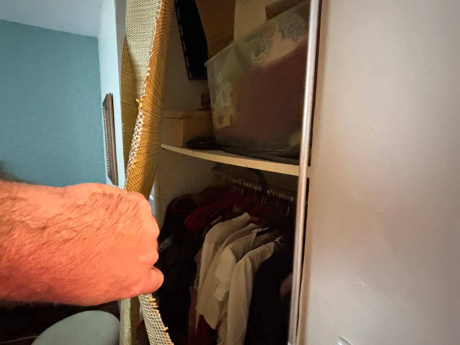 2 bed, 900 sqft, $1,260 — Photo 2