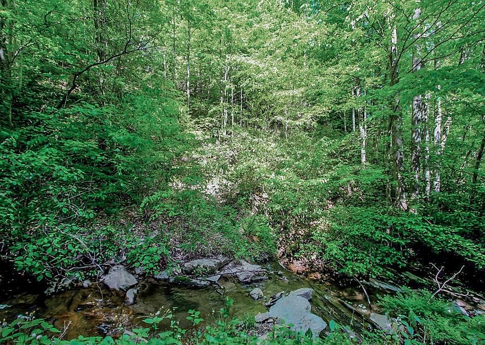 1st image of 403 Big Creek Rd