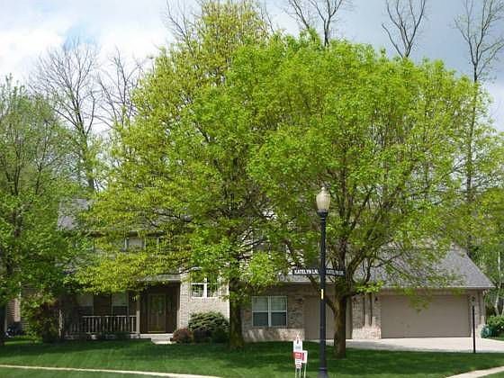 1st image of 4926 Katelyn Dr
