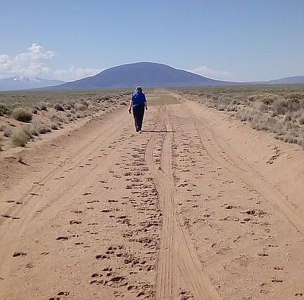 Wife headed south down Fox. 