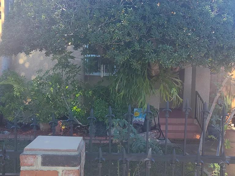 San Juan Ave — Photo 3