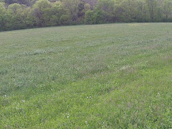 4th image of 6359 Lynnville Highway