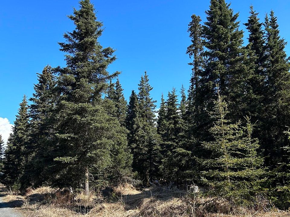 2nd image of 29739 Kalifornsky Beach Rd