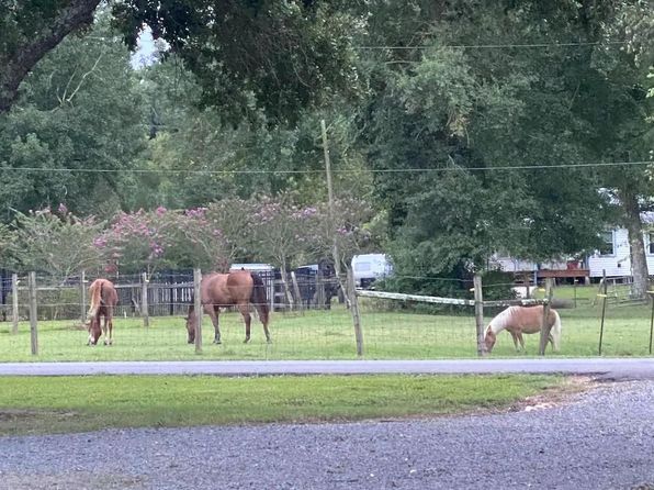 12068 Griffith Rd, Gonzales, LA 70737
