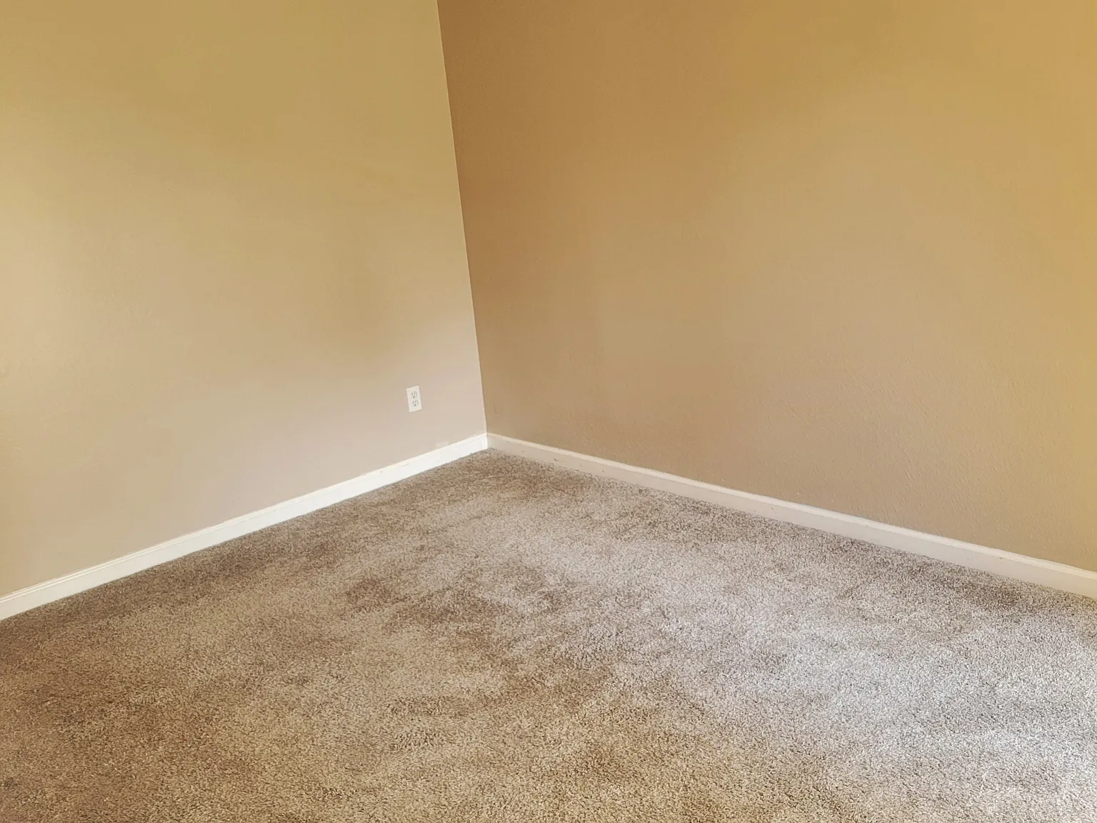 3 bed, 1247 sqft, $3,900 — Photo 4
