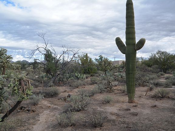 2nd image of 5365 W Desert Falcon Ln Unit 0