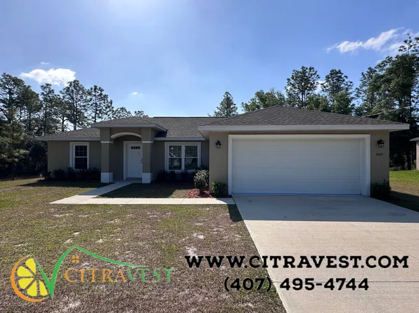 11437 N G Martinelli Blvd, Citrus Springs, FL 34433