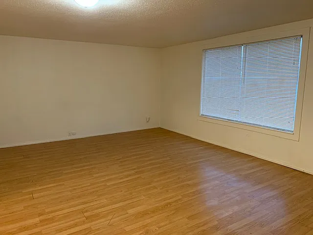 3 bed, 900 sqft, $1,195 — Photo 3