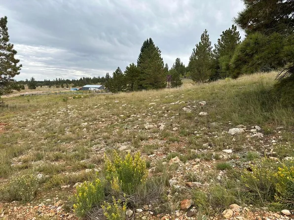 2150 N Ridge View Rd, Duck Creek Village, UT 84762