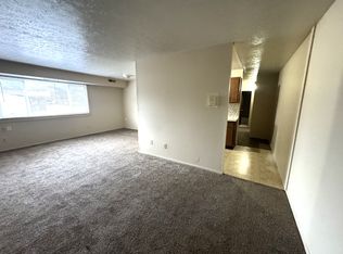 900 Silver Meadows Blvd #203, Kent, OH 44240
