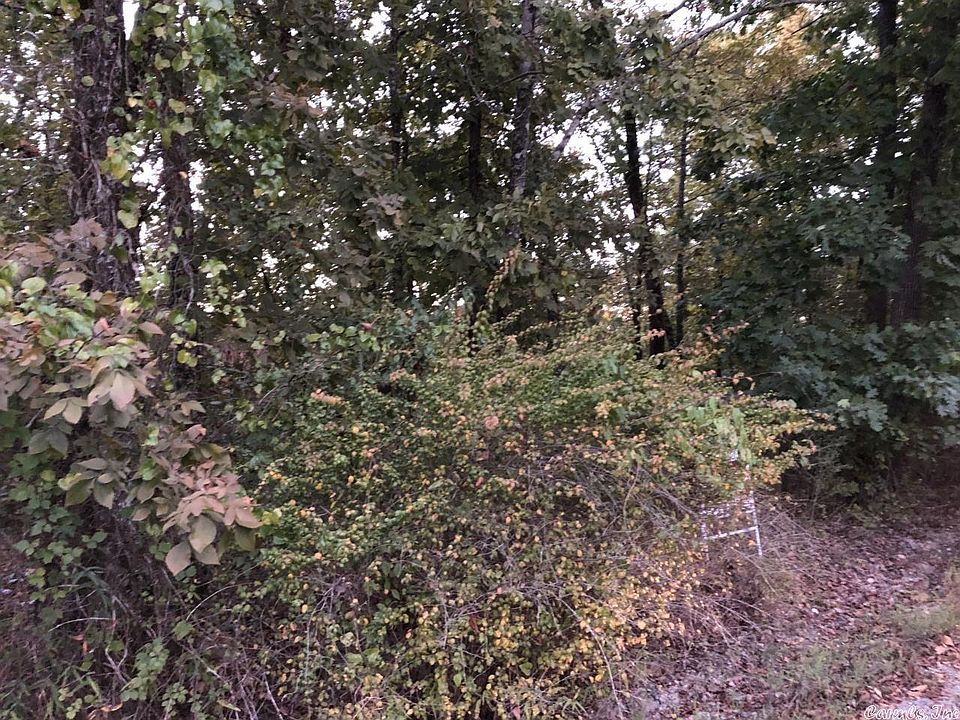1st image of 0 Cadillac Point
