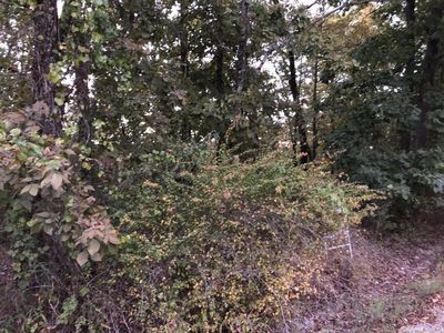 0 Cadillac Point, Hot Springs National Park, AR, 71913