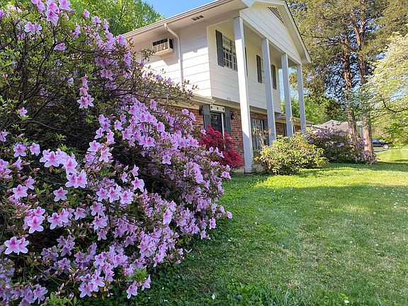 5th image of 10516 Pinedale Dr