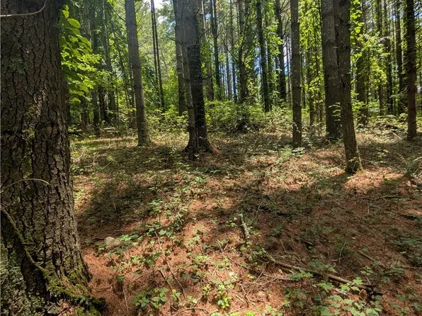 tbd Doell Lane #20, Sparta, NC 28675