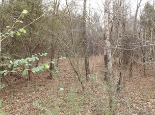 0 Hinch St LOT 4 & 5, Spring City, TN 37381