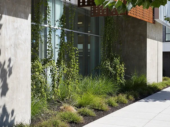The Rivermark