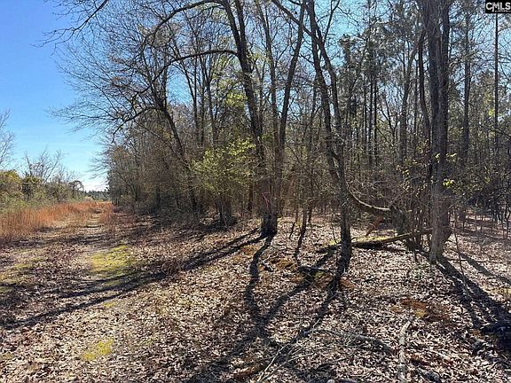 3rd image of Bhl 12 Boise Cascade Rd #Bhl-12