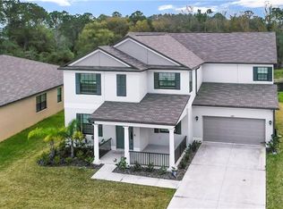 6489 Paden Wheel St, Zephyrhills, FL 33541