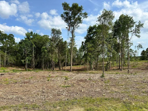 0 Goodluck Rd, Petal, MS 39465