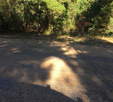 4th image of County Road 4804