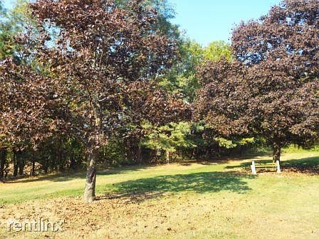 Shared Yard