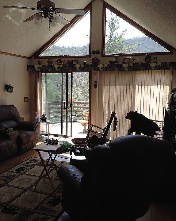 2nd image of 190 Nantahala Cir