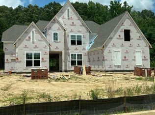 10482 Ashlynn Valley Rd, Lakeland, TN 38002