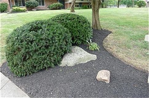 4th image of 3685 Beacon Hill Ct