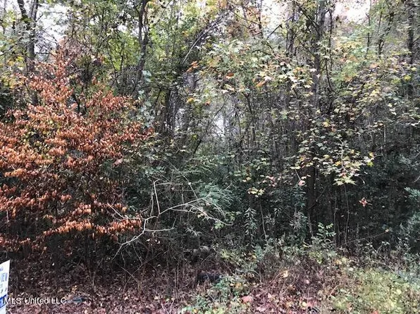 River Loop, Beaumont, MS 39423