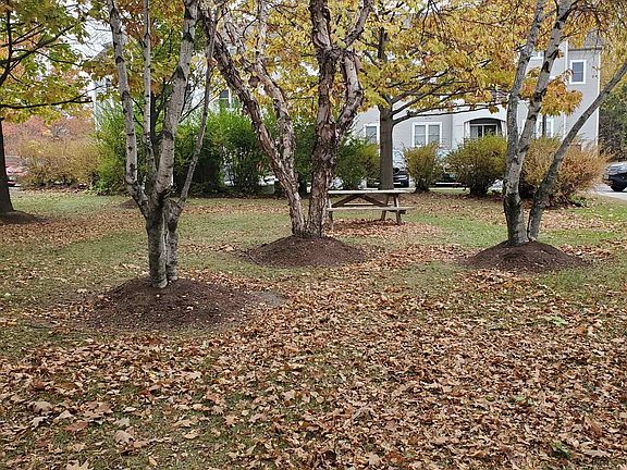 2nd image of 305 Lime Kiln Road #240 B