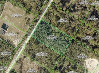 0 Little Stone Dr Lot 4, Webster, FL 33597