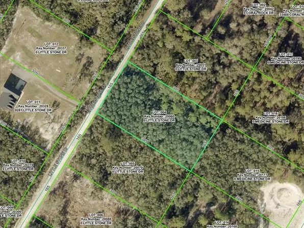 0 Little Stone Dr Lot 4, Webster, FL 33597
