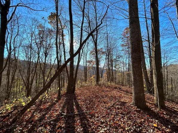 Fisher Creek Rd, Green Sulphur Springs, WV 25966