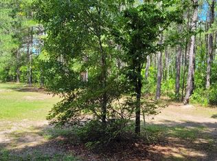 2905 Pine Level Church Rd, Nakina, NC 28455